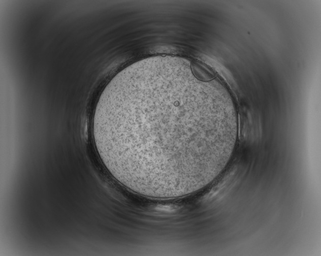 X0000094800157200712071212