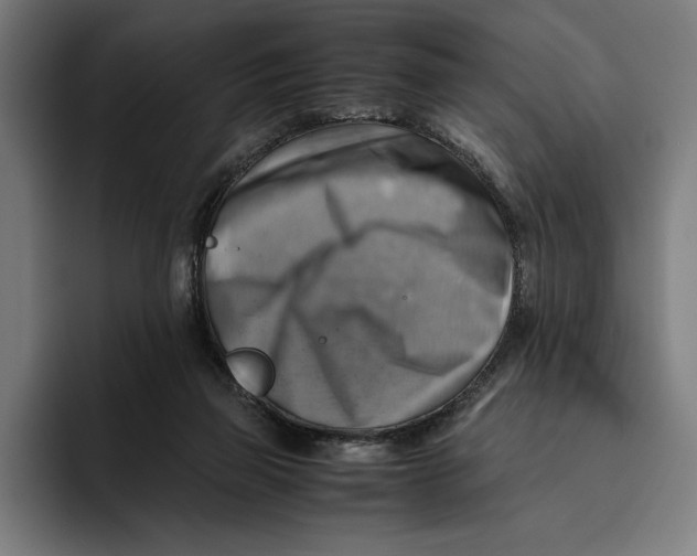 X0000094800165200712071212