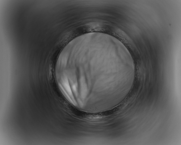 X0000094800169200712071212