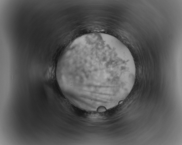 X0000094800177200712071212