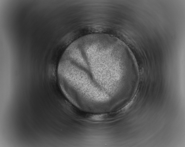 X0000094800178200712071212