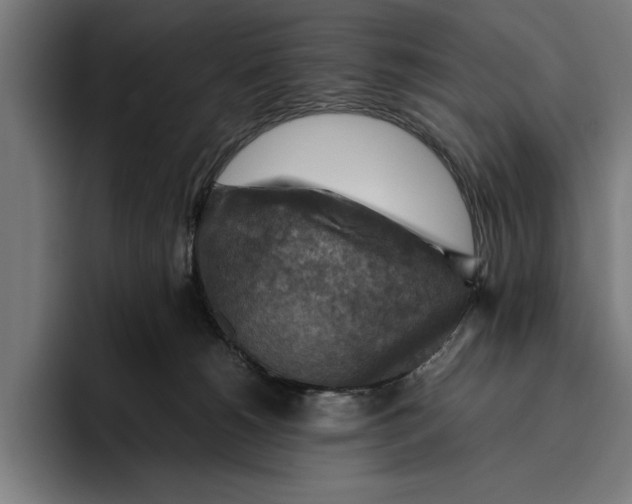 X0000094800180200712071212