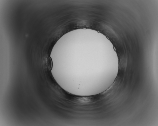 X0000094800183200712071213