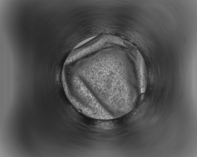 X0000094800185200712071213