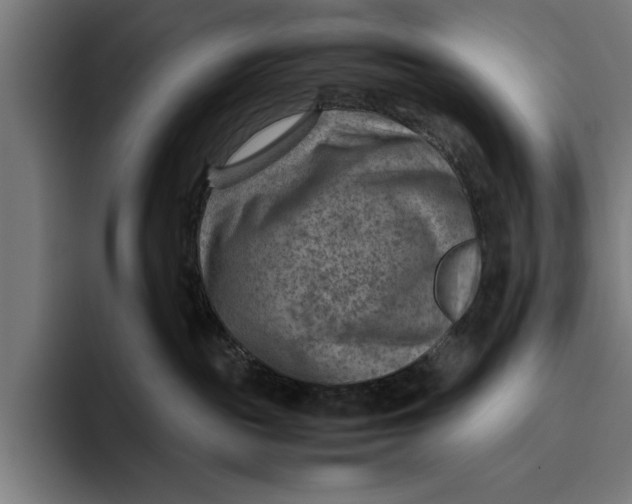 X0000094800189200712071213