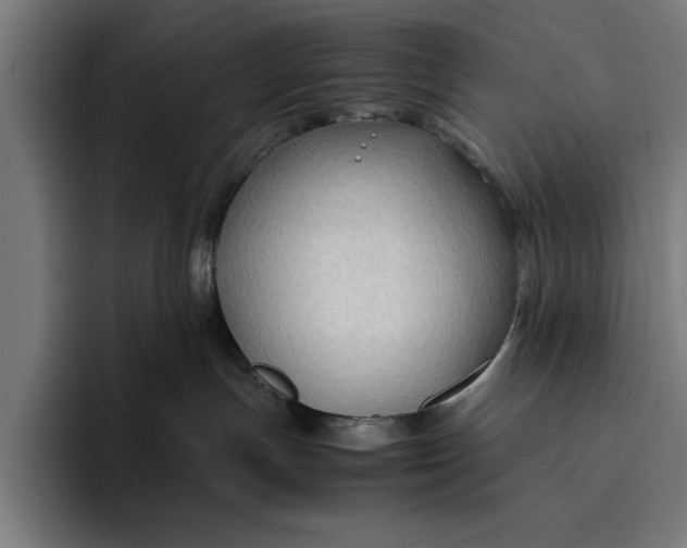 X0000094800191200712071213