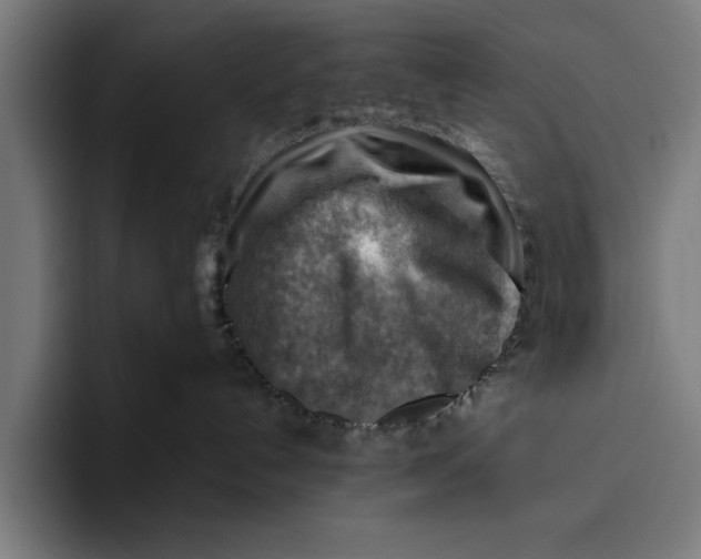 X0000094800192200712071213