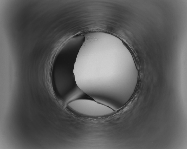 X0000094800193200712071212