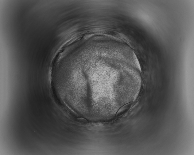 X0000094800194200712071212