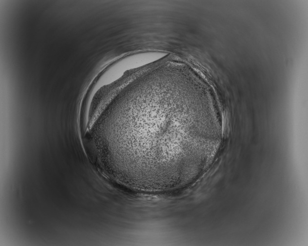 X0000094800195200712071212