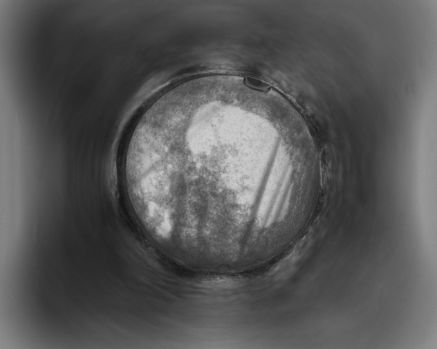 X0000094800198200712071212