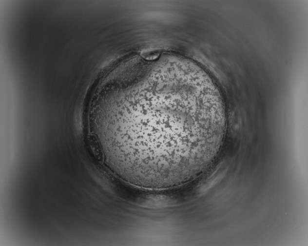 X0000094800203200712071212