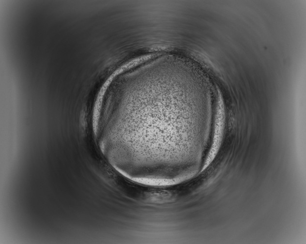 X0000094800215200712071212