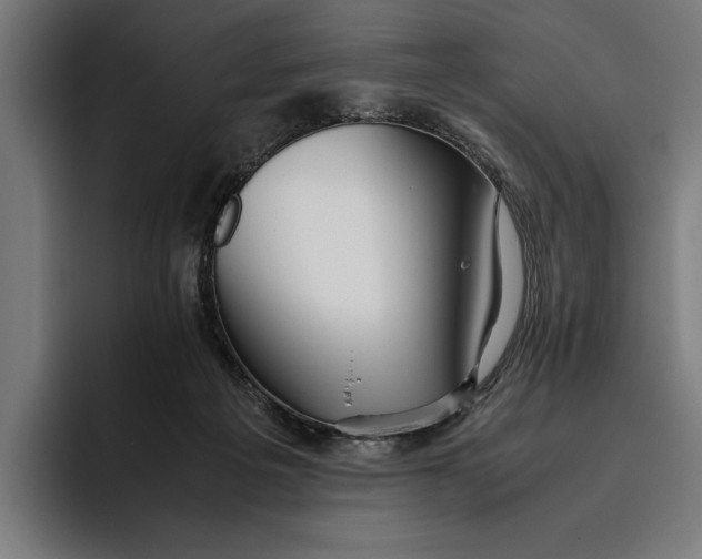 X0000094800217200712071212