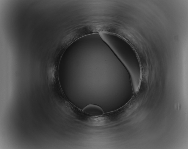 X0000094800219200712071212