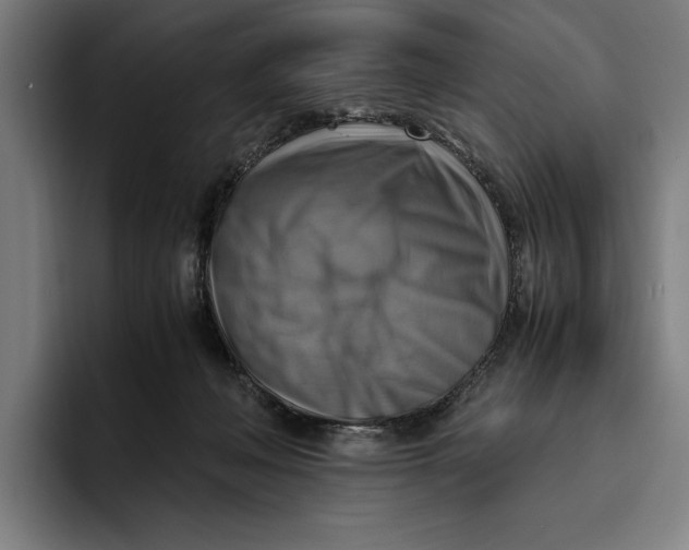 X0000094800222200712071212