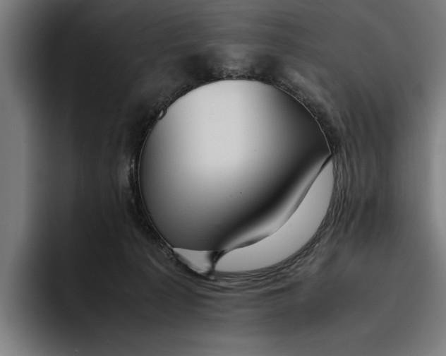 X0000094800225200712071212