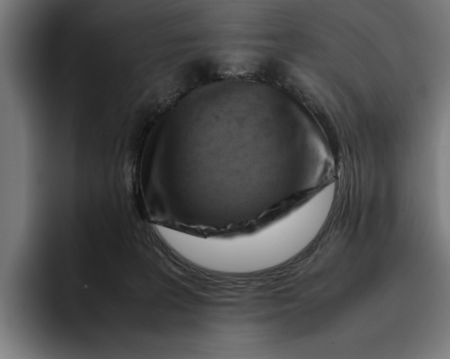 X0000094800227200712071212