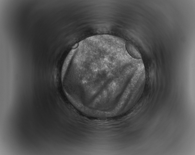 X0000094800228200712071212