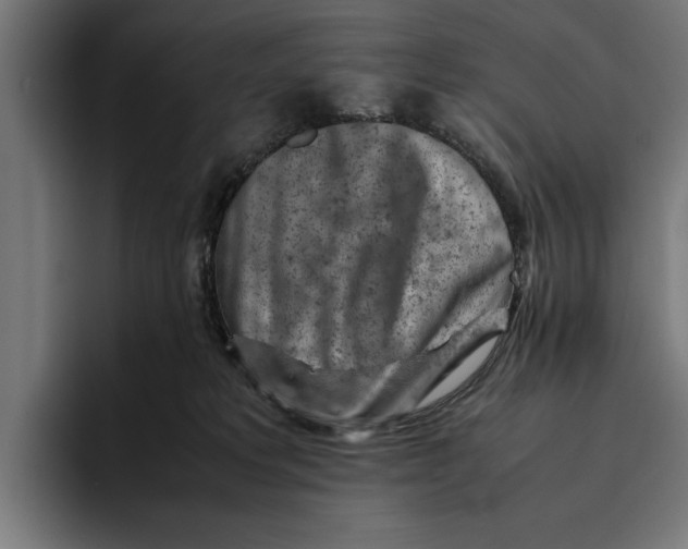 X0000094800229200712071212