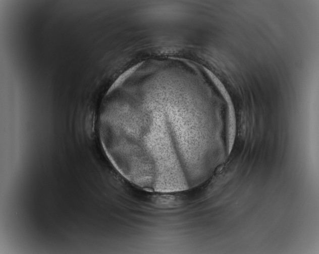 X0000094800230200712071212