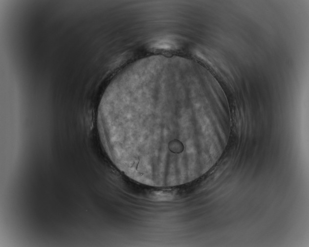 X0000094800232200712071212