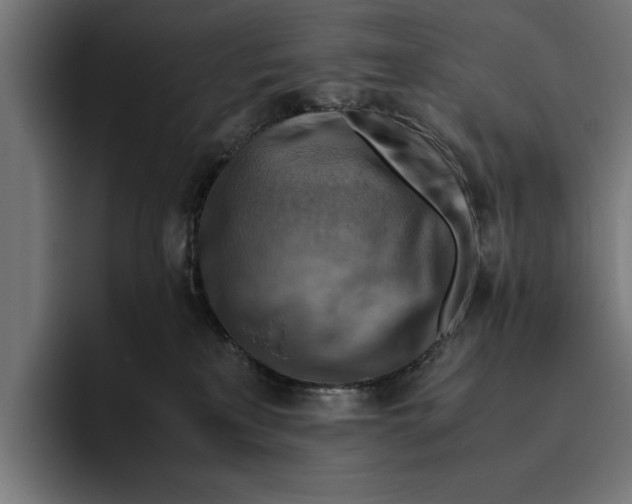 X0000094800233200712071212