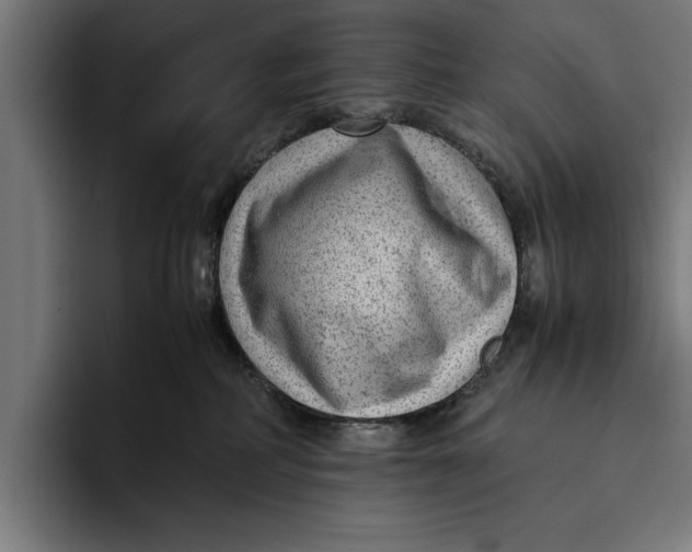 X0000094800234200712071211