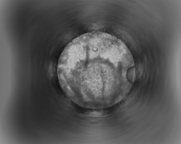 X0000094800236200712071211