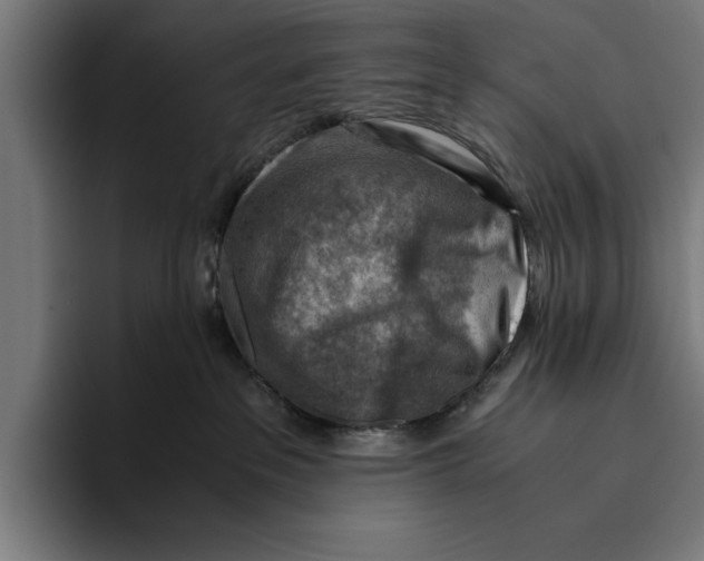 X0000094800237200712071211