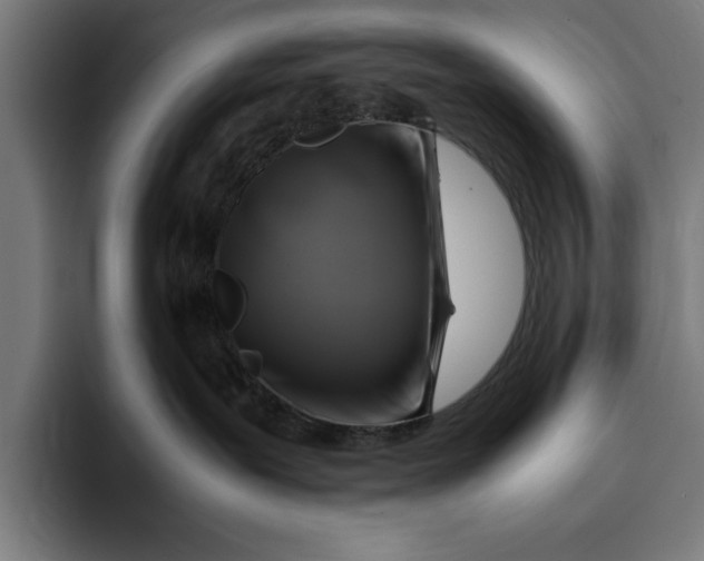 X0000094800239200712071211