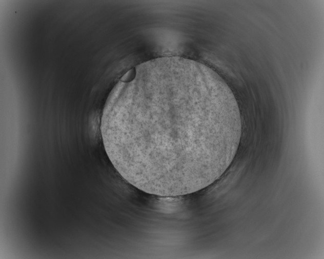 X0000094800240200712071211