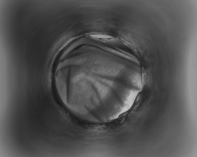 X0000094800243200712071211