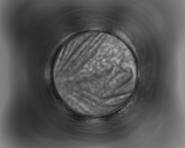 X0000094800249200712071211