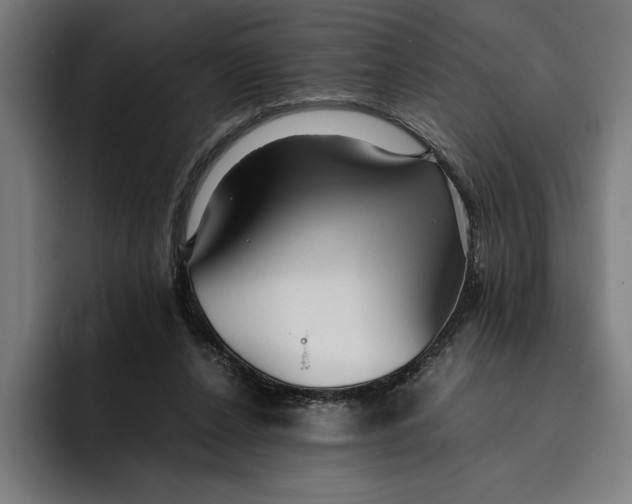 X0000094800256200712071211