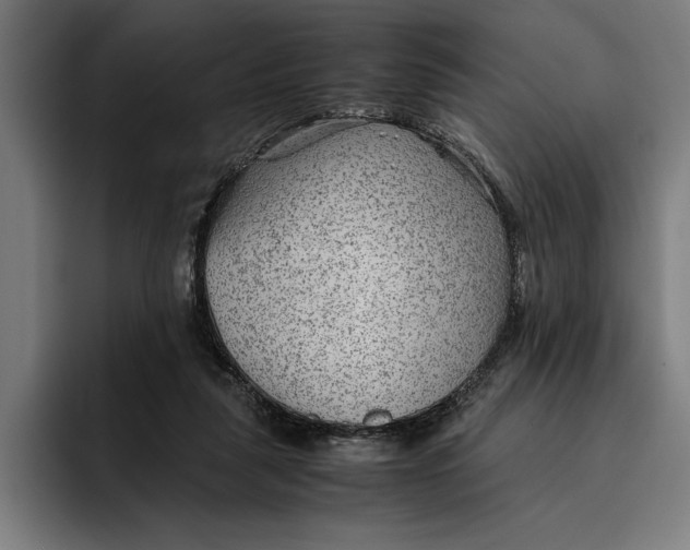 X0000094800259200712071211