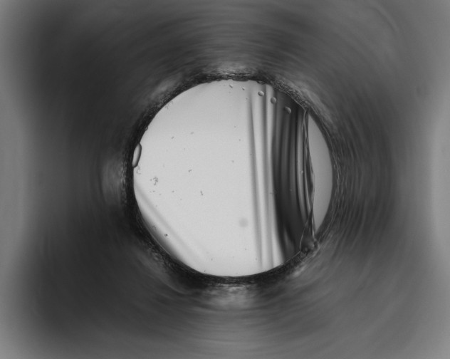 X0000094800260200712071211