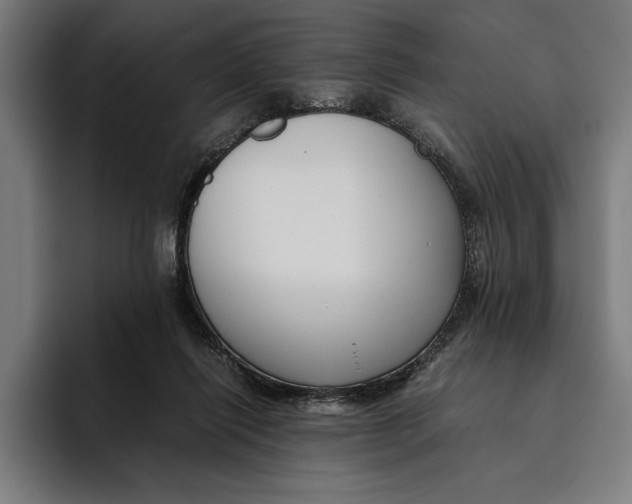 X0000094800262200712071211