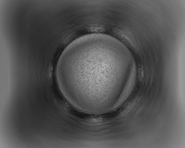 X0000094800263200712071211