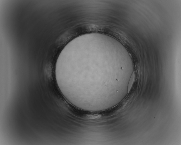 X0000094800266200712071211