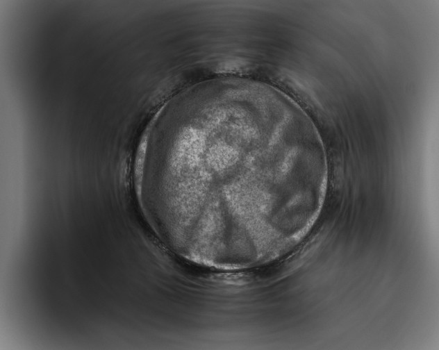 X0000094800273200712071211