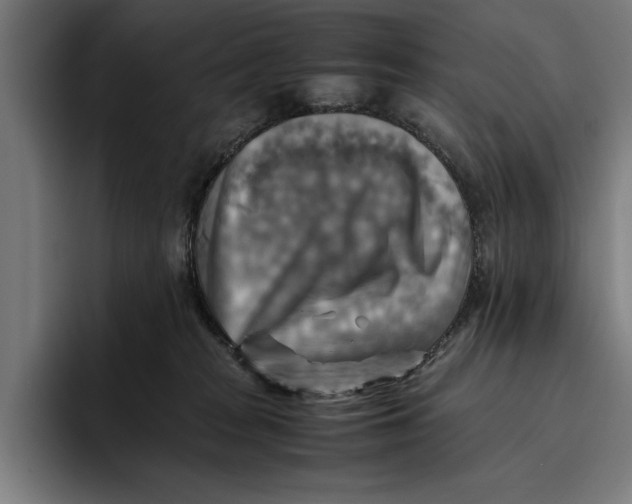 X0000094800277200712071211