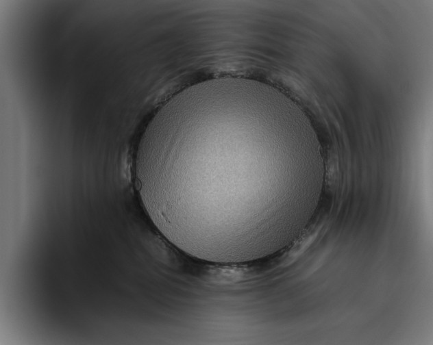 X0000094800282200712071211