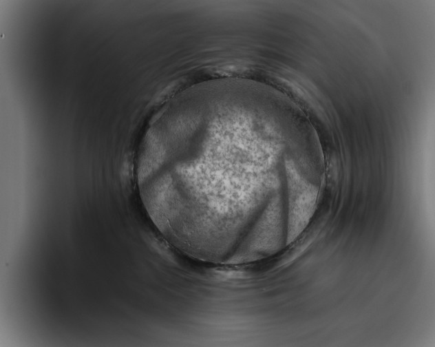 X0000094800284200712071211