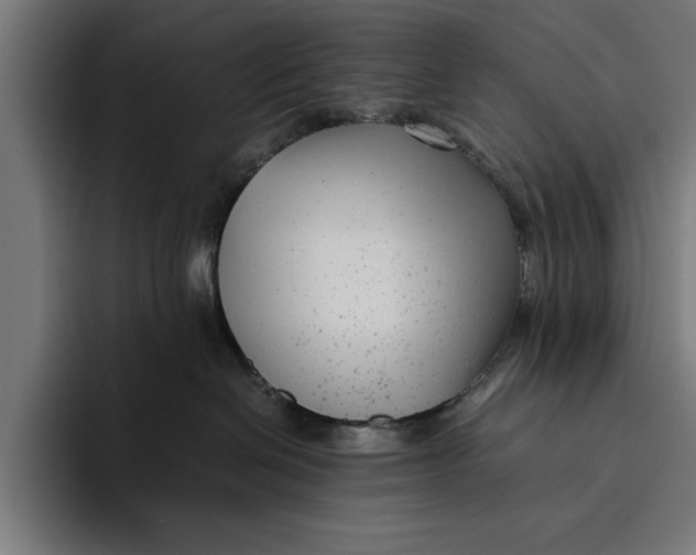 X0000094800286200712071211