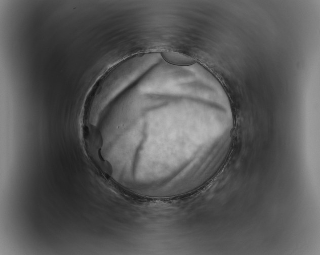 X0000094800290200712071211