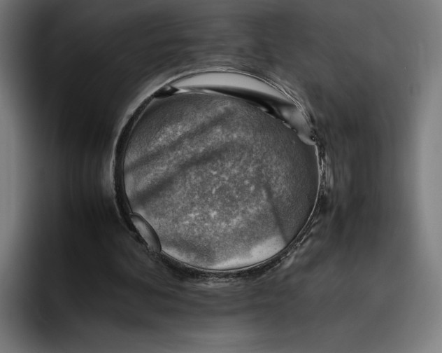 X0000094800292200712071211