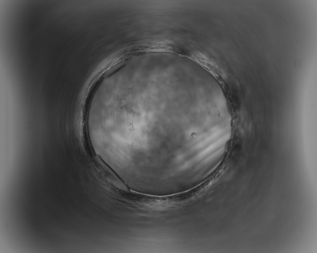 X0000094800293200712071211