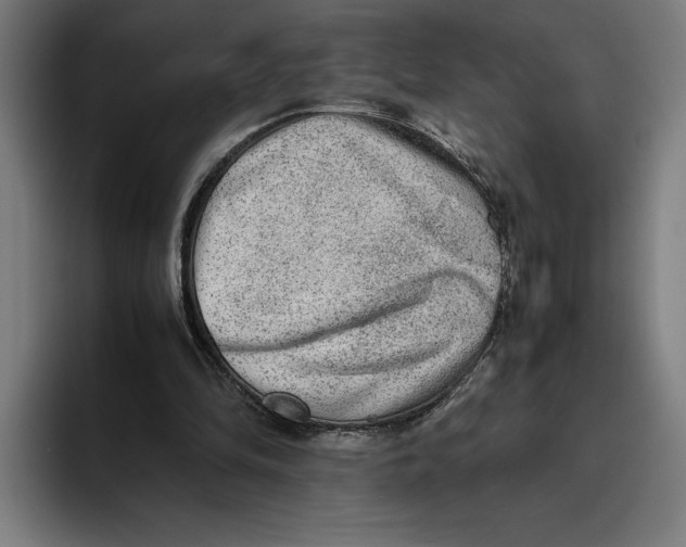 X0000094800294200712071211