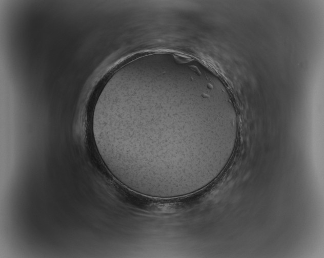 X0000094800295200712071211